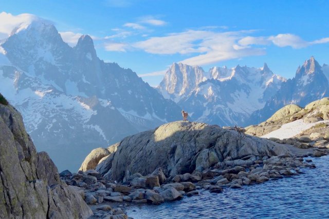 Les plus beaux Trails de Chamonix Mont-Blanc